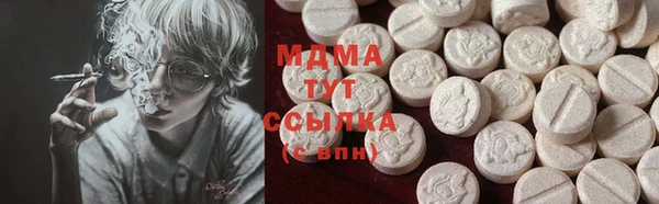 СК Новодвинск