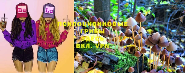 ALPHA-PVP Новозыбков