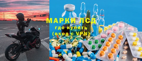 ALPHA-PVP Новозыбков