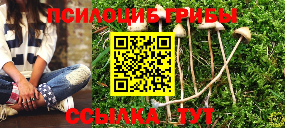 хочу наркоту  Вход с VPN  Алексеевка  Псилоцибиновые грибы мухоморы  Галлюциногенные грибы мицелий 