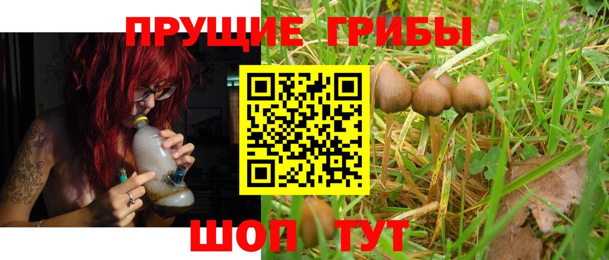 Алексеевка  Псилоцибиновые грибы прущие грибы  Галлюциногенные грибы ЛСД  Вход с VPN 