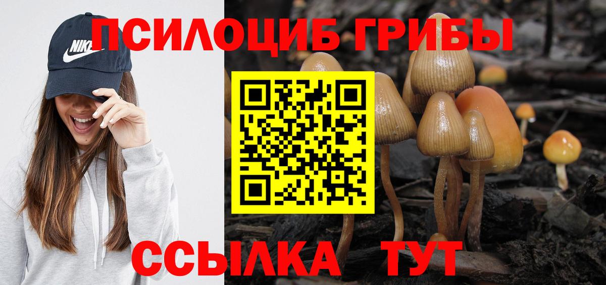 Галлюциногенные грибы MAGIC MUSHROOMS Алексеевка