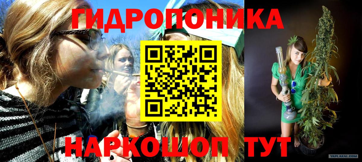 Алексеевка  Марихуана сатива  Канабис Ganja  Вход с VPN 
